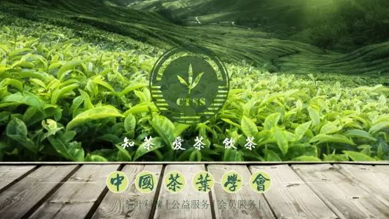 İlk Uluslararası Shaoxing (Shengzhou) Yeşil Çay Konferansı Ve 20 Yuexiang Lon...